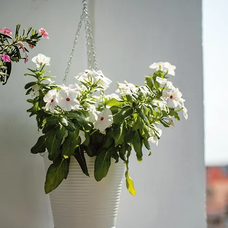 Appartement Catania, Centro, Sicilia, Italia, Grandi Sogni